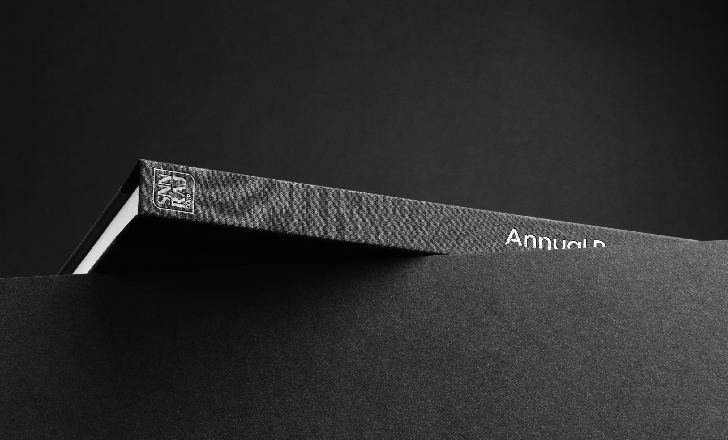 SNN Raj Corp media 14