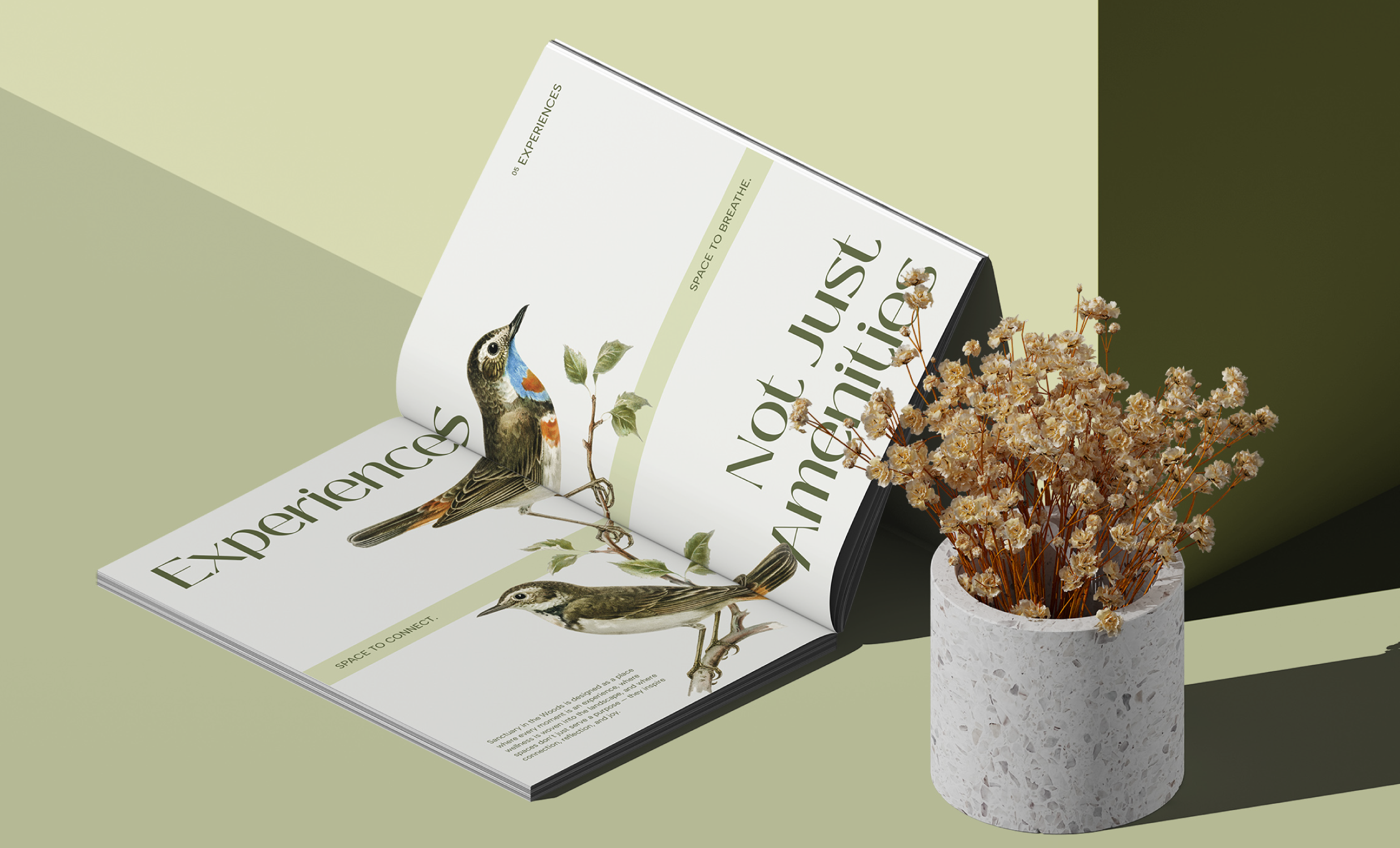 Sanctuary in the Woods media 10