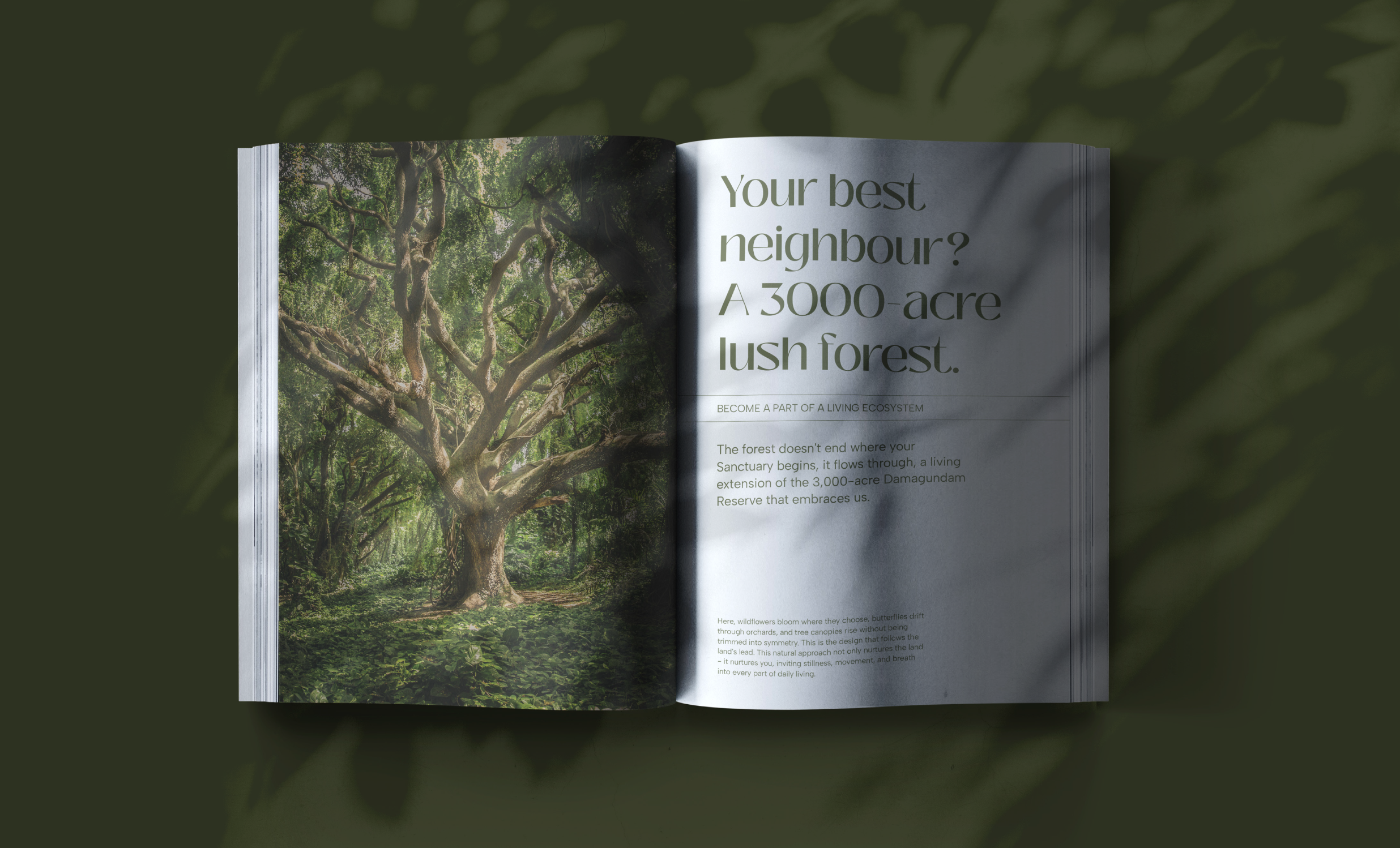 Sanctuary in the Woods media 11