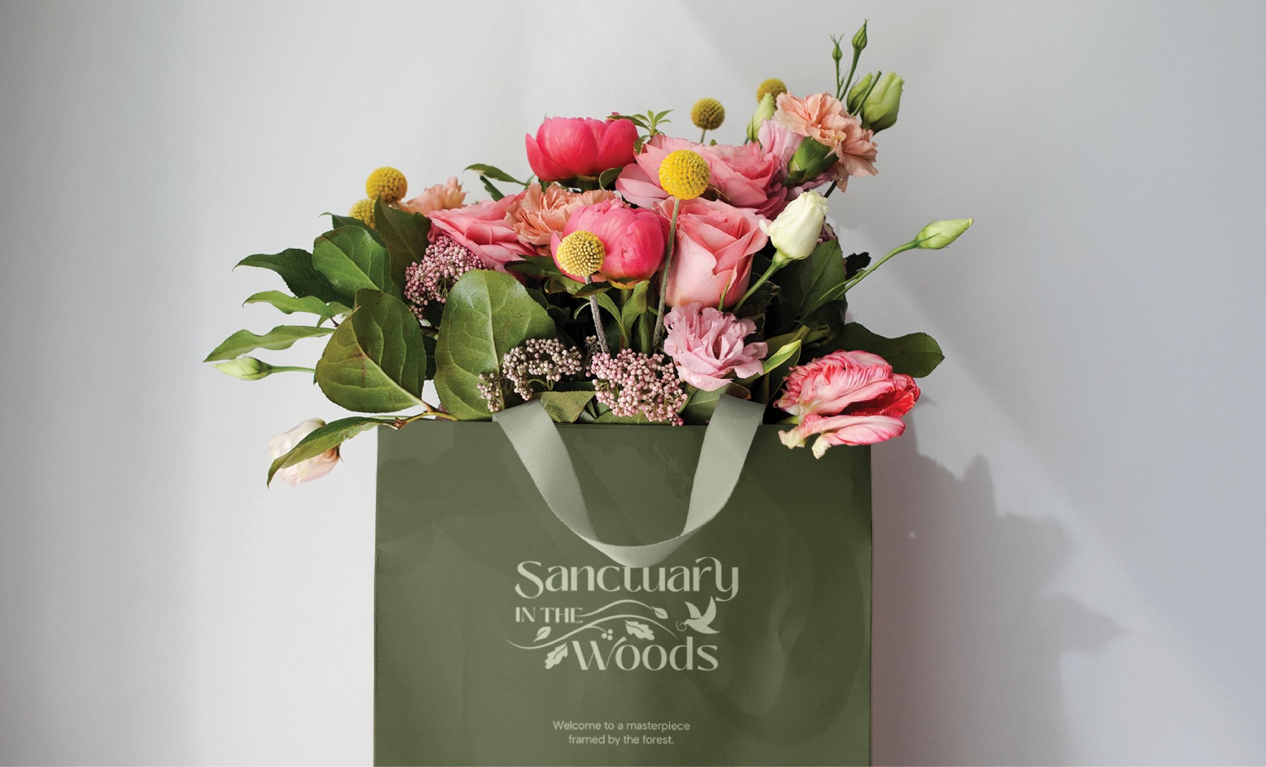 Sanctuary in the Woods media 5