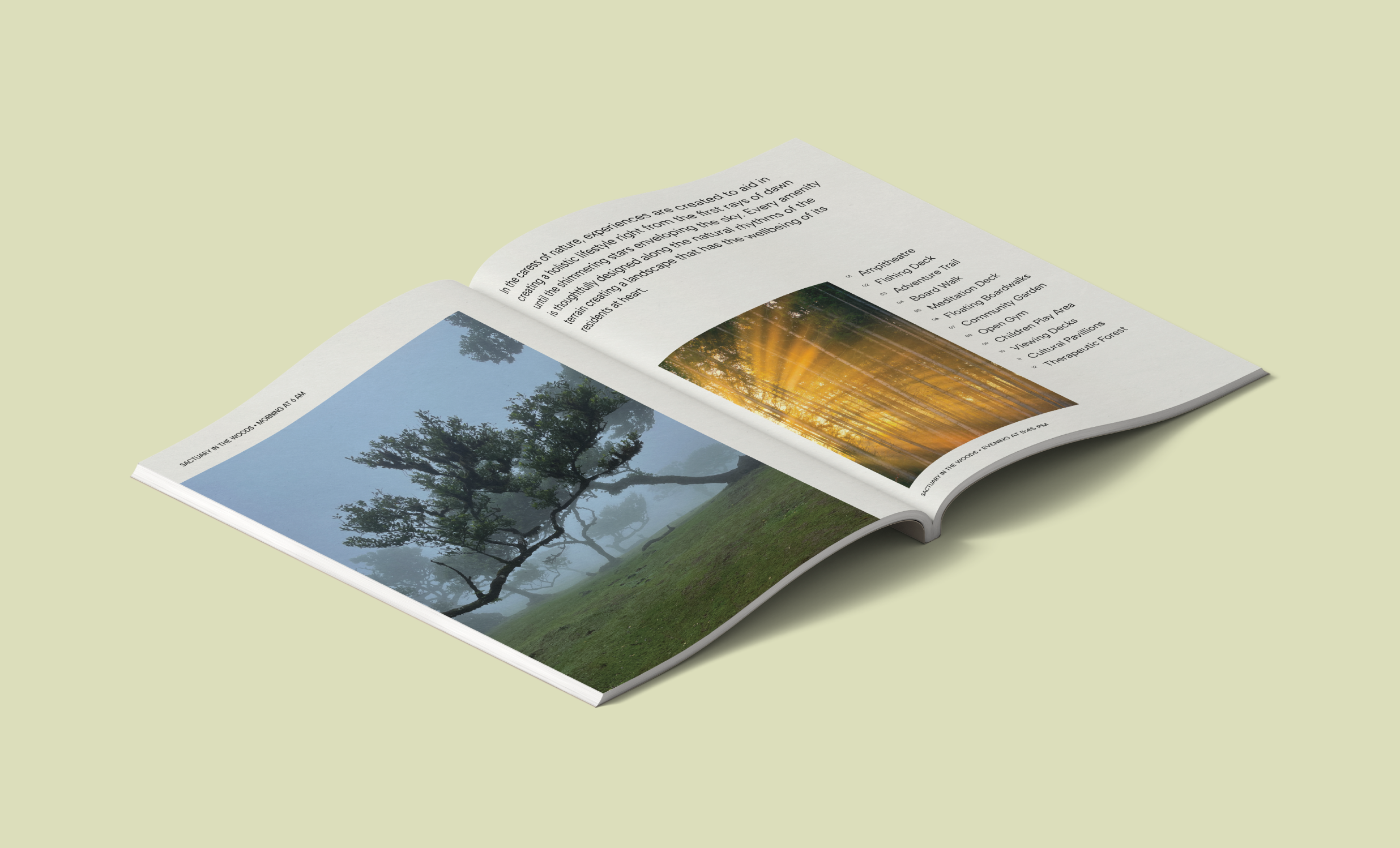 Sanctuary in the Woods media 9